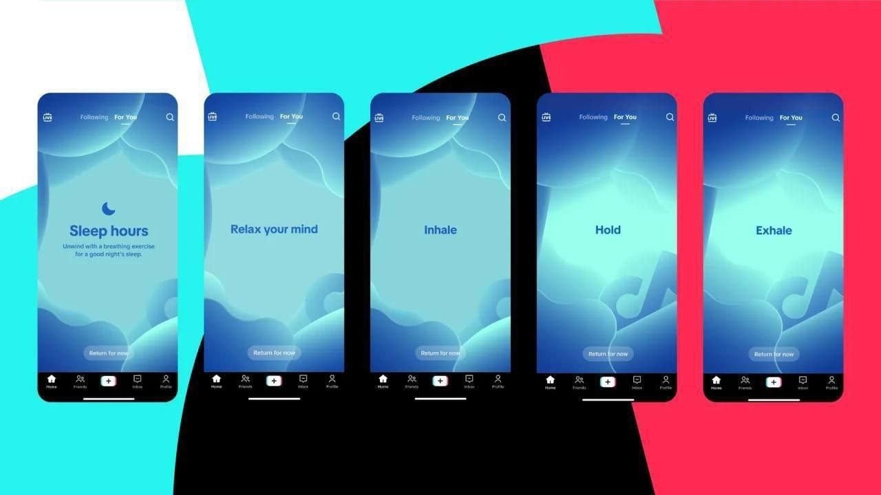 TikTok Introduces a
